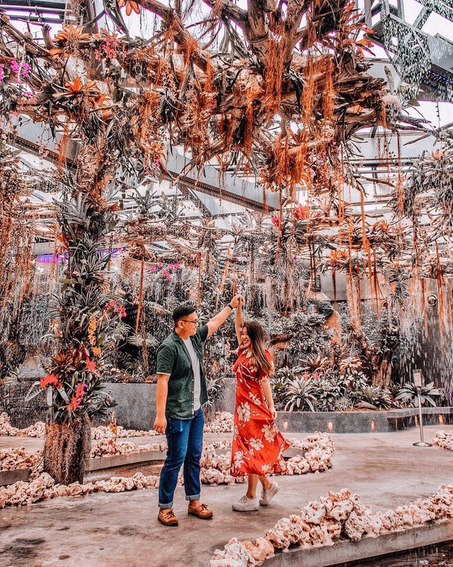 Sau Jewel Changi, Singapore lại có thêm “kỳ quan” vườn hoa treo khổng lồ khiến dân tình phải ngước lên “mỏi cả cổ” để ngắm nhìn - Ảnh 23.
