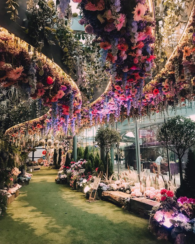 Sau Jewel Changi, Singapore lại có thêm “kỳ quan” vườn hoa treo khổng lồ khiến dân tình phải ngước lên “mỏi cả cổ” để ngắm nhìn - Ảnh 5.