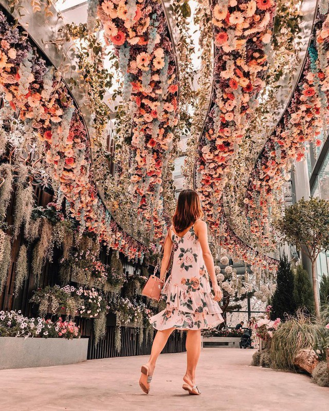 Sau Jewel Changi, Singapore lại có thêm “kỳ quan” vườn hoa treo khổng lồ khiến dân tình phải ngước lên “mỏi cả cổ” để ngắm nhìn - Ảnh 6.