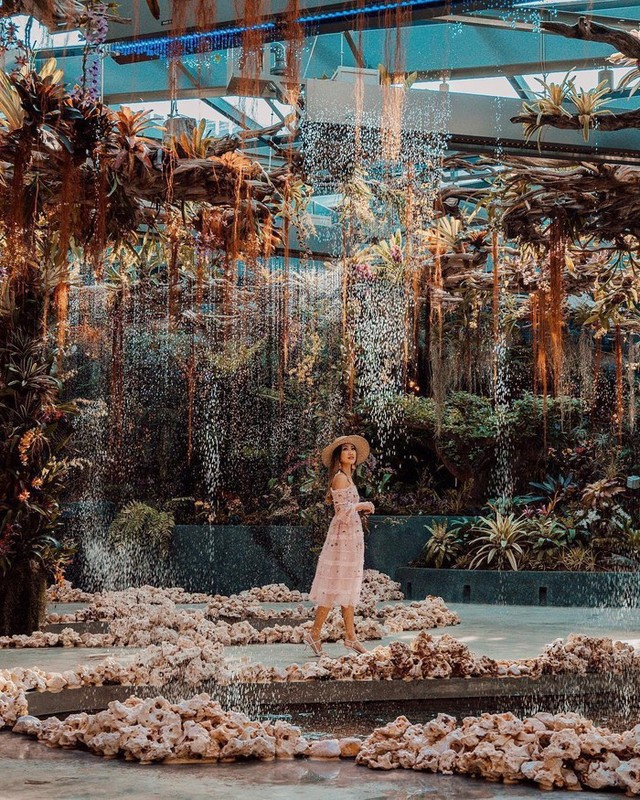 Sau Jewel Changi, Singapore lại có thêm “kỳ quan” vườn hoa treo khổng lồ khiến dân tình phải ngước lên “mỏi cả cổ” để ngắm nhìn - Ảnh 12.