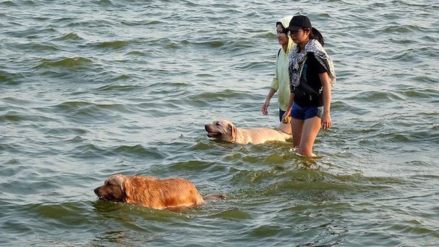  Người dân Hà Nội rủ nhau ra Hồ Tây tắm hạ nhiệt ngày cuối tuần nắng như nung - Ảnh 4.
