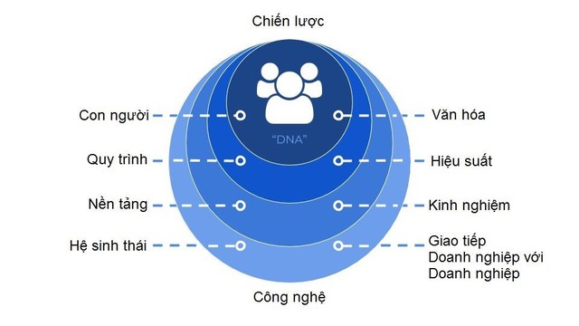 GDP có thêm 162 tỉ USD nếu Việt Nam chuyển đổi số thành công - Ảnh 1.