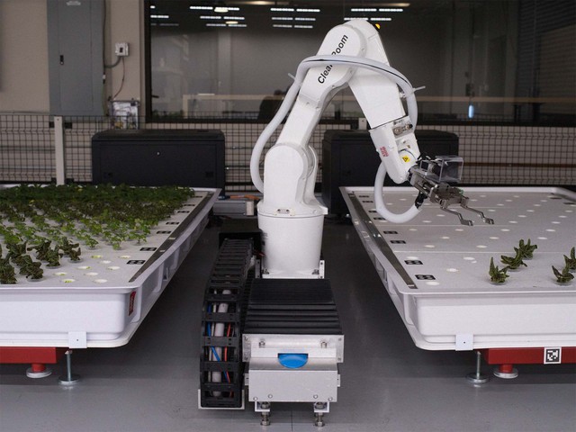 Robot trồng rau đưa cuộc sống viễn tưởng vào đời thực - Ảnh 1.