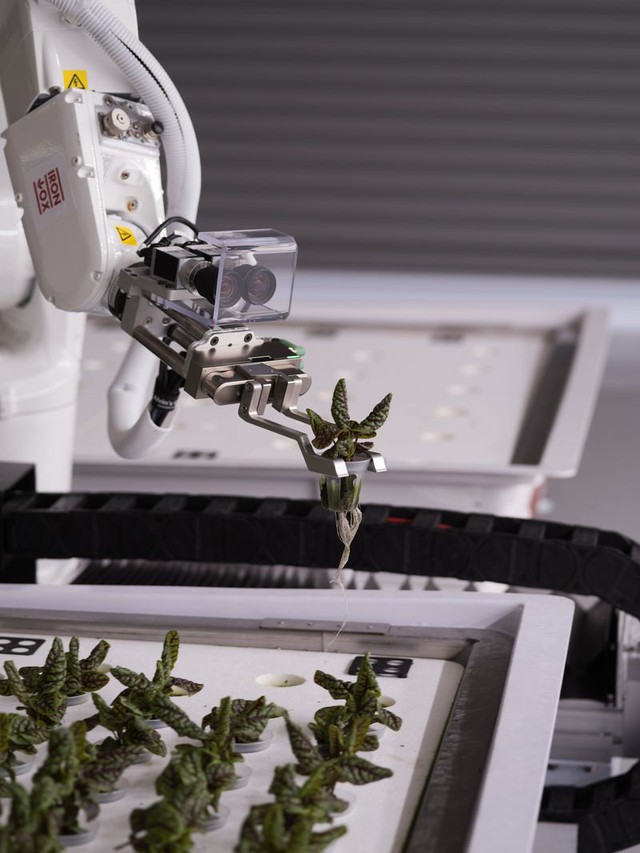 Robot trồng rau đưa cuộc sống viễn tưởng vào đời thực - Ảnh 5.
