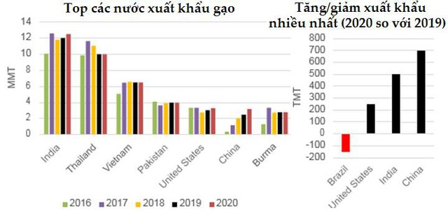Dự báo toàn cảnh thị trường lúa gạo thế giới năm 2019/2020 - Ảnh 7.