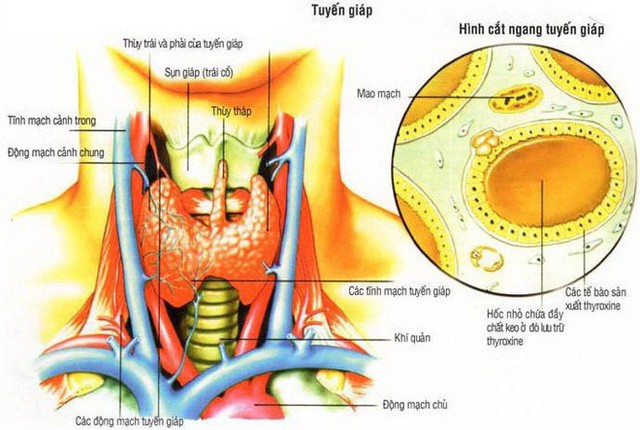 Đứng trước gương với 1 cốc nước: Cách tự kiểm tra mình có nguy cơ ung thư không - Ảnh 2.