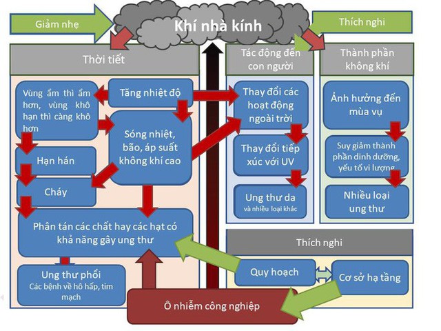 Nắng nóng gay gắt: Cảnh báo nguy cơ gia tăng ung thư, nhất là 2 bệnh ung thư sau - Ảnh 3.