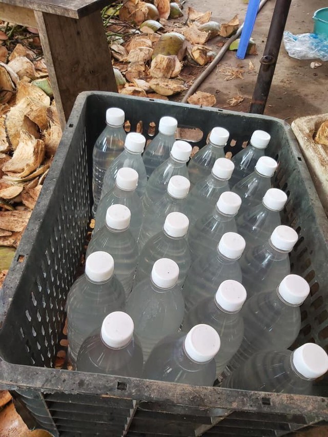 Kiếm bạc triệu nhờ bán nước dừa giải khát trong ngày nắng nóng - Ảnh 1.