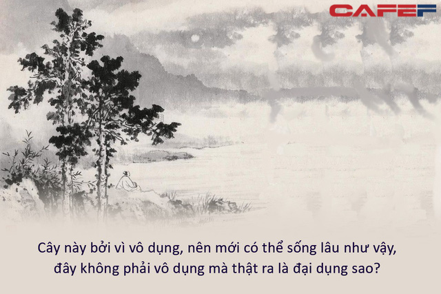 Mượn chuyện cây cối, cổ nhân truyền dạy đạo lý ngàn đời không cũ: “Hữu dụng” hay “vô dụng”, không thể thoáng qua mà biết; vật vô dụng, đặt đúng chỗ cũng có ích - Ảnh 2.