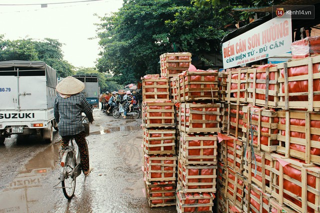 Chùm ảnh: Người dân Bắc Giang ùn ùn đi bán vải, đường phố ùn tắc hàng km - Ảnh 12.