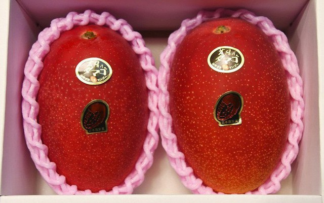 Những loại trái cây giá trên trời, gấp cả trăm lần quả vải thiều Shintomi 240.000 đồng/quả, có loại cả trăm triệu đồng - Ảnh 6.