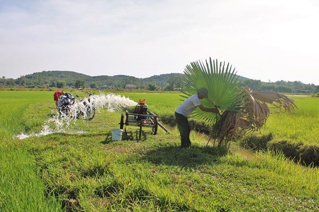 Người Hà Tĩnh căng mình dưới nắng nóng như đổ lửa - Ảnh 4.