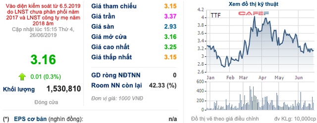 Chủ tịch TTF kỳ vọng giá trị công ty sẽ lên đến 1 tỷ USD dù đang lỗ lũy kế vài nghìn tỷ đồng, thị giá bằng cốc trà đá - Ảnh 2.