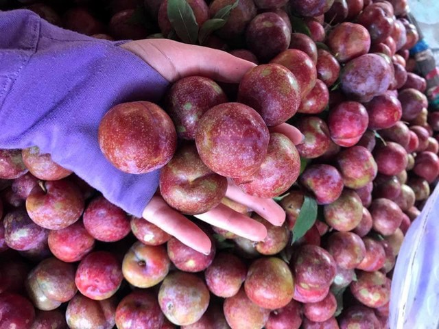 Hoa quả tăng giá đột biến, rượu nếp cháy hàng từ sáng sớm trong ngày diệt sâu bọ - Ảnh 1. Hoa quả tăng giá đột biến, rượu nếp cháy hàng từ sáng sớm trong ngày diệt sâu bọ - Ảnh 1.