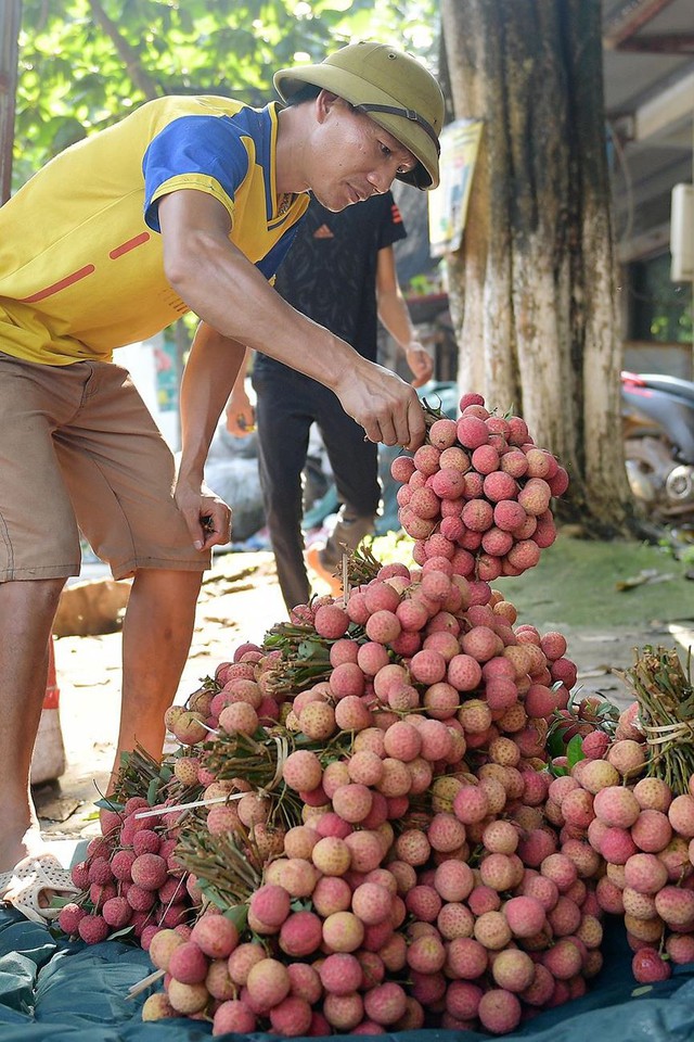 Chôn chân dưới trời nắng tại thủ phủ vải thiều Bắc Giang - Ảnh 11.