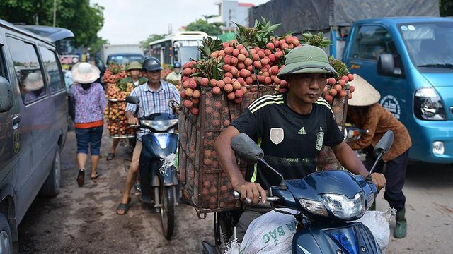 Chôn chân dưới trời nắng tại thủ phủ vải thiều Bắc Giang - Ảnh 13.