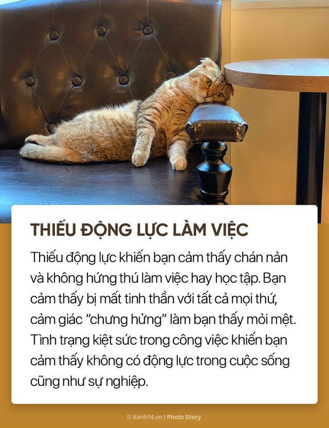 Nếu có những dấu hiệu này trong người, có thể bạn đang bị kiệt sức trong công việc - Ảnh 4.