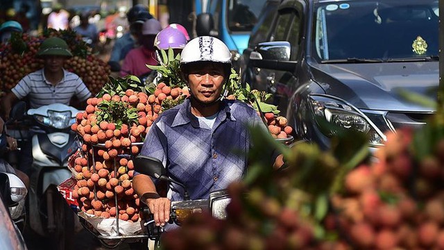 Chôn chân dưới trời nắng tại thủ phủ vải thiều Bắc Giang - Ảnh 6.