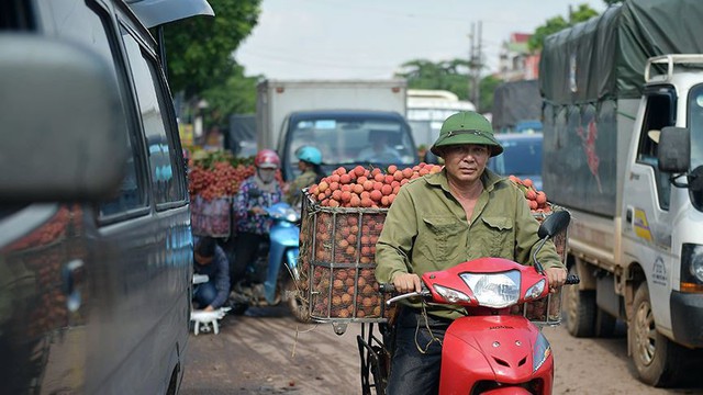 Chôn chân dưới trời nắng tại thủ phủ vải thiều Bắc Giang - Ảnh 8.