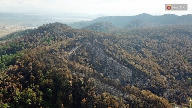 Clip nhìn từ trên cao: Cánh rừng thông xám xịt ở Hà Tĩnh sau 4 ngày lửa bùng cháy kinh hoàng khiến nhiều người xót xa - Ảnh 3.