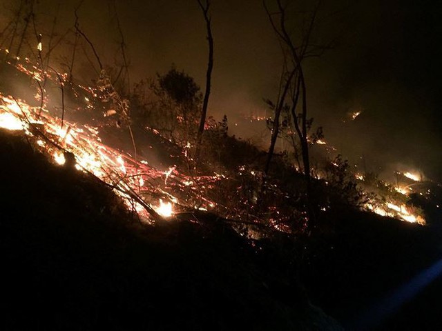 Gần 500 người trắng đêm chặn lửa tại núi Mào Gà  - Ảnh 4.