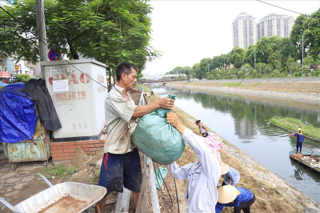 Hành trình phủ xanh cỏ lá tre trên kè sông Tô Lịch - Ảnh 3.