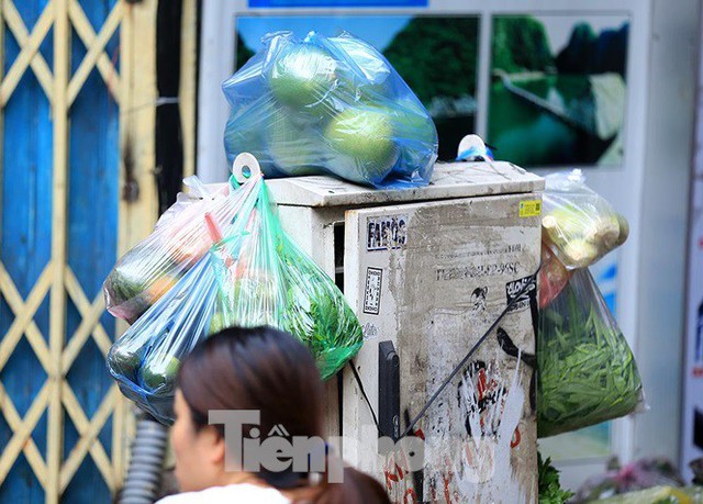 Thảm hoạ môi trường từ túi nilon, rác thải nhựa - Ảnh 10.