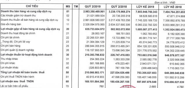 Ảnh hưởng bởi sự cố ERP, lợi nhuận PNJ sụt giảm trong quý 2/2019 - Ảnh 2.