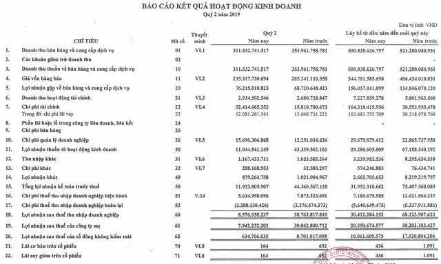 Đạt Phương (DPG): Đặt chỉ tiêu 2019 táo bạo, nửa đầu năm thực hiện chưa đến 5% kế hoạch lợi nhuận - Ảnh 1.