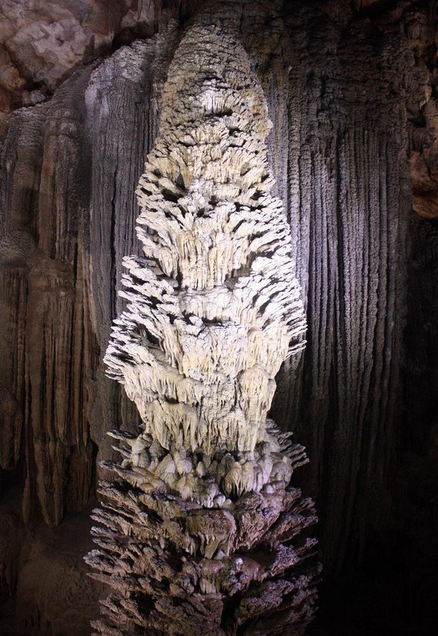 Nóng: Động Thiên Đường ở Quảng Bình được xác lập kỷ lục hang động độc đáo và tráng lệ nhất châu Á - Ảnh 5.