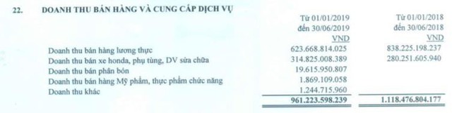 Angimex (AGM): 6 tháng lãi 20 tỷ đồng tăng 74% so với cùng kỳ - Ảnh 1.