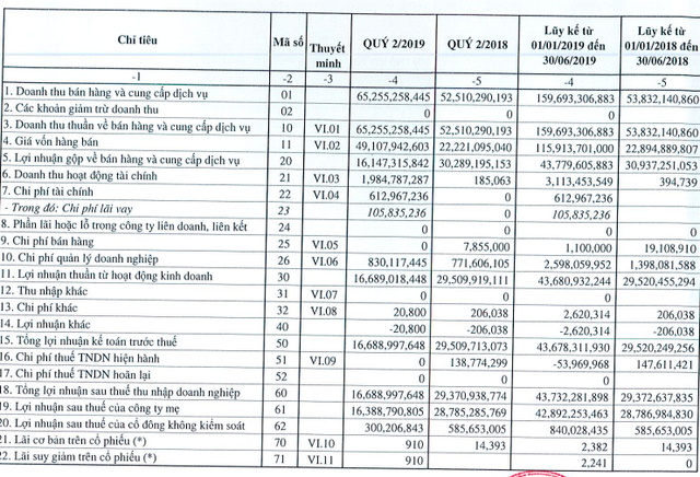 SRA giảm hơn 81% lãi ròng trong quý 2, cổ phiếu cũng liên tục hạ nhiệt - Ảnh 1.