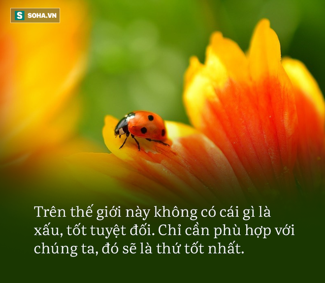 Cãi nhau nảy lửa vì nhất quyết cho rằng 3 × 8 = 24, người đàn ông bị xử thua kiện đau đớn - Ảnh 1.