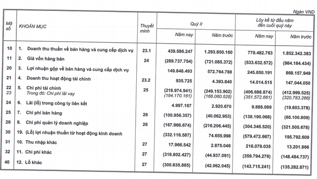 Nối gót mẹ, HAGL Agrico lỗ hơn 737 tỷ nửa đầu năm, đang mượn người nhà hơn 4.000 tỷ đồng - Ảnh 2.