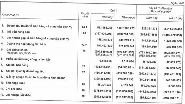 Hoàng Anh Gia Lai (HAG) báo lỗ ròng 539 tỷ trong quý 2, đang mượn tạm bầu Đức hơn 2.500 tỷ đồng - Ảnh 2.