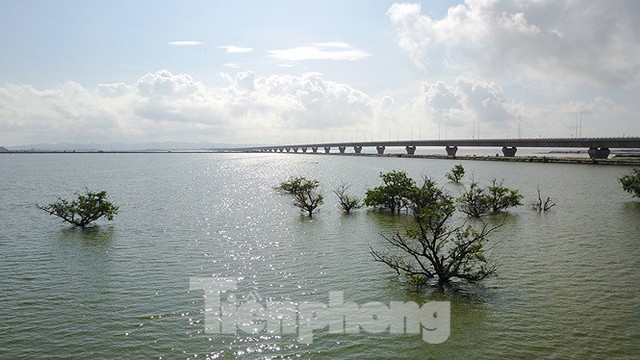 Cây cầu vượt biển dài nhất Việt Nam bị kiểm toán chỉ ra nhiều sai sót - Ảnh 1.