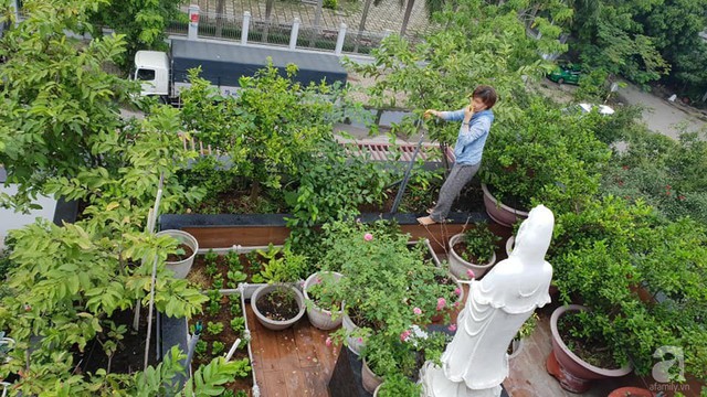 Sở hữu sân thượng rộng đến 200m², mẹ đảm ở Sài Gòn khiến nhiều người bất ngờ với trang trại rau quả tự trồng - Ảnh 5.