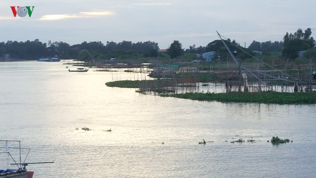 Mùa nước nổi về trễ, người dân An Giang mất nguồn thu - Ảnh 1.