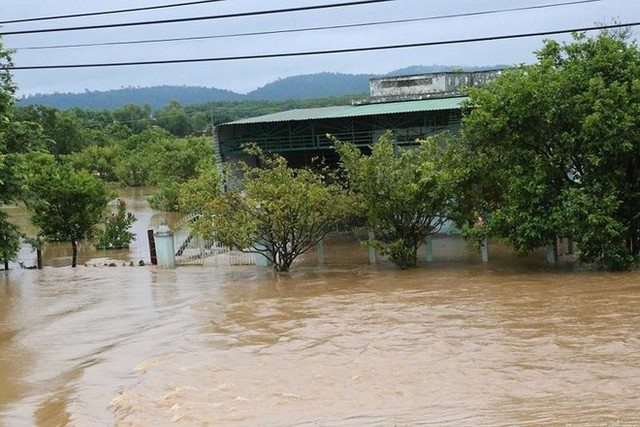  Sau Đắk Kar, Thủy điện Đắk Sin 1 gặp sự cố, đang bị cô lập - Ảnh 2.