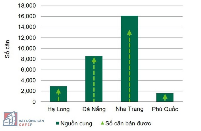 Xu hướng mua bất động sản nghỉ dưỡng đang thay đổi như thế nào? - Ảnh 1.