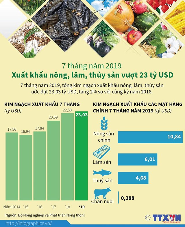 [Infographics] 7 tháng: Xuất khẩu nông, lâm, thủy sản vượt 23 tỷ USD - Ảnh 1.