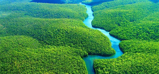 Loạt ảnh gây sốc về rừng Amazon bùng cháy với tốc độ kỷ lục: Khói có thể nhìn thấy từ ngoài không gian, các thành phố bị bao phủ mù mịt như tận thế - Ảnh 20.