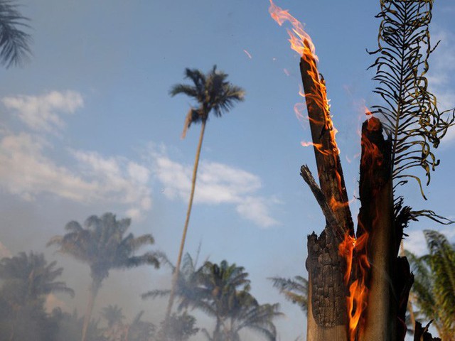Thảm họa của thế kỉ 21: Rừng Amazon có thể tự dập lửa nhưng bị chính con người bức tử và sự trả thù của thiên nhiên sẽ vô cùng tàn khốc - Ảnh 5.