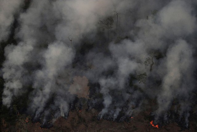 Thảm họa của thế kỉ 21: Rừng Amazon có thể tự dập lửa nhưng bị chính con người bức tử và sự trả thù của thiên nhiên sẽ vô cùng tàn khốc - Ảnh 6.