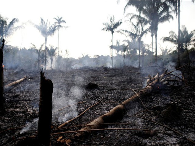 Thảm họa của thế kỉ 21: Rừng Amazon có thể tự dập lửa nhưng bị chính con người bức tử và sự trả thù của thiên nhiên sẽ vô cùng tàn khốc - Ảnh 7.