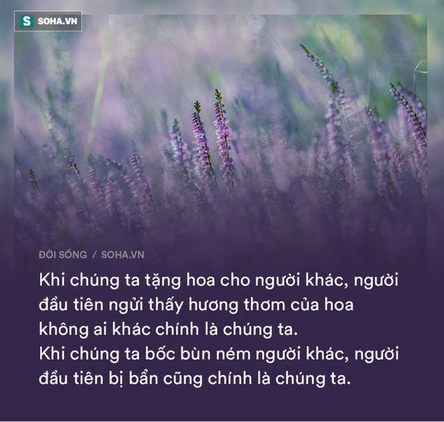 Viên tướng giỏi mất mạng vì vạch mặt tể tướng trước đám đông: Lời cảnh báo ai cũng nên biết! - Ảnh 1.