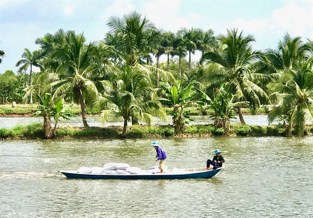 Chuẩn hóa cá tra - Ảnh 2.