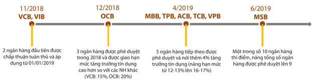 “Ông lớn” ngân hàng ngậm ngùi đi sau trong cuộc đua Basel II - Ảnh 1.