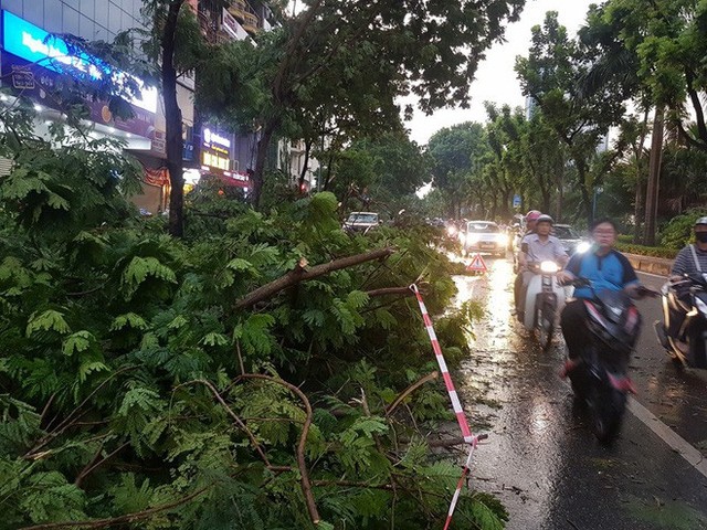  Mưa giông dữ dội từ cuối chiều ở Hà Nội, 1 nam thanh niên bị cây si đổ trúng tử vong - Ảnh 13.