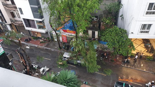  Mưa giông dữ dội từ cuối chiều ở Hà Nội, 1 nam thanh niên bị cây si đổ trúng tử vong - Ảnh 18.